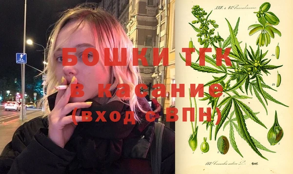 PSILOCYBIN Козловка