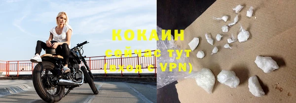 PSILOCYBIN Козельск