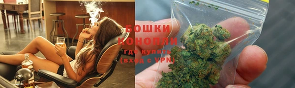 PSILOCYBIN Козловка