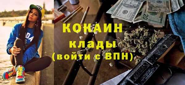 PSILOCYBIN Козловка