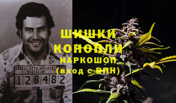PSILOCYBIN Козловка