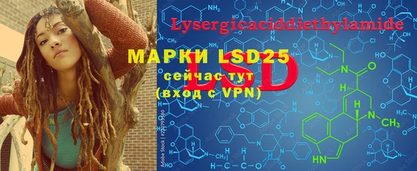 PSILOCYBIN Козловка