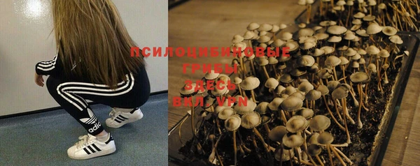 PSILOCYBIN Козельск