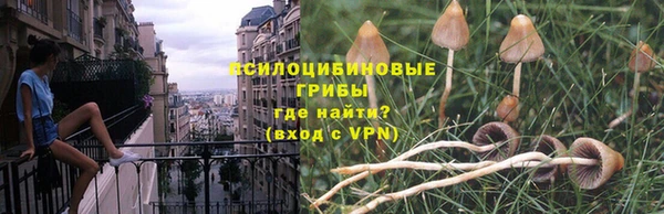 PSILOCYBIN Козловка